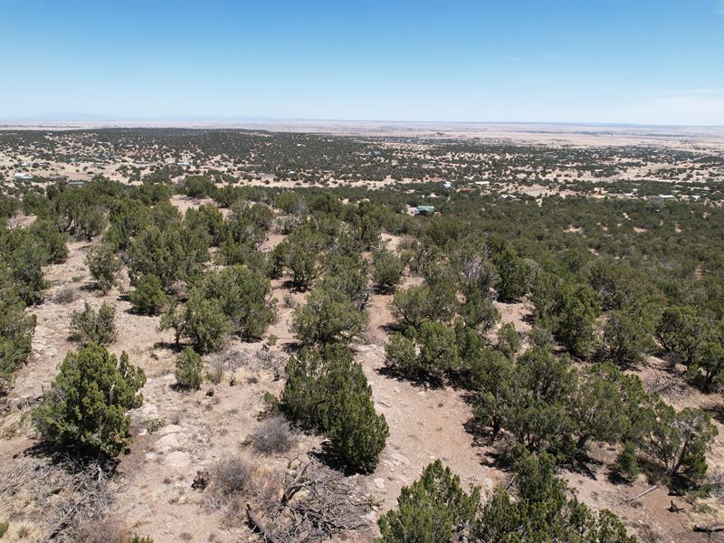 Endless Potential on 5 Acres in NM : Edgewood : Torrance County : New Mexico