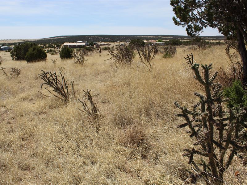 2.5 Acres in Torrance County, NM : Moriarty : Torrance County : New Mexico