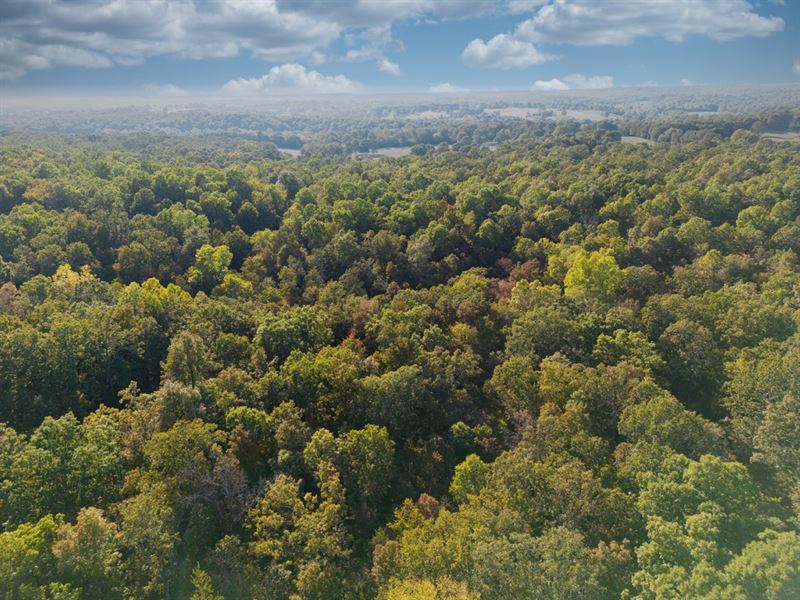 Vacant Lot Near Lakes & Golf : Horseshoe Bend : Izard County : Arkansas