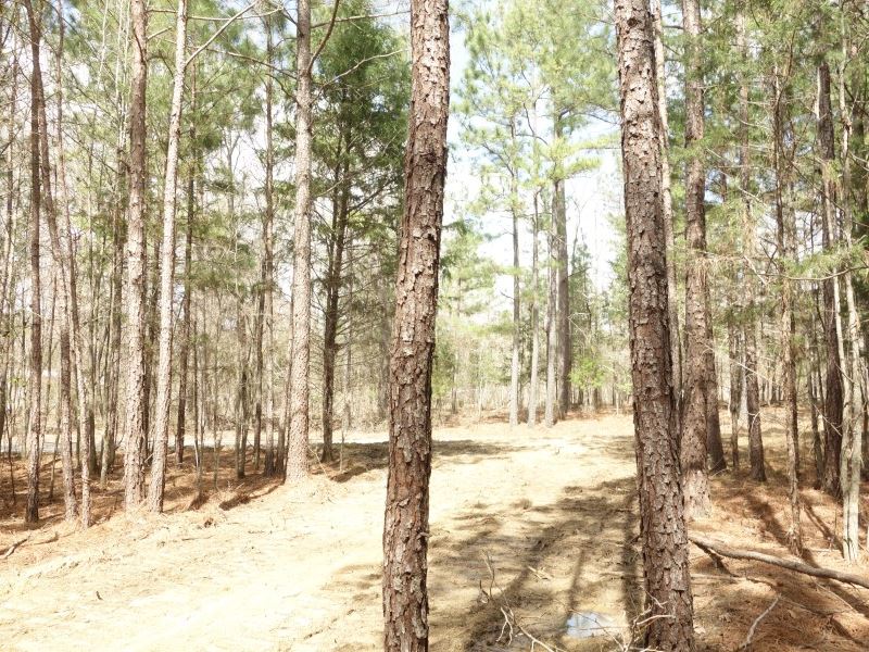 Rural Acreage in Pomaria : Pomaria : Newberry County : South Carolina