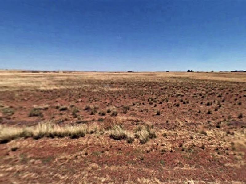 1.25 in Navajo County, AZ : Sun Valley : Navajo County : Arizona