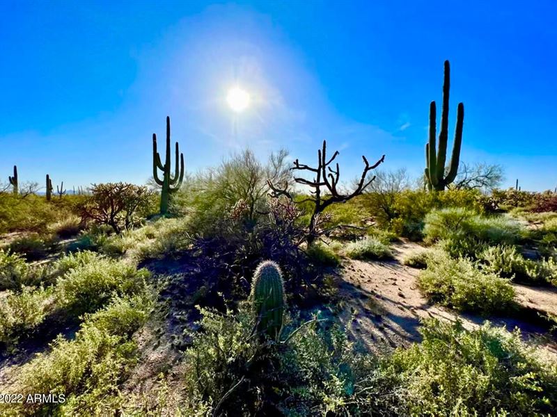 Well Share, Views & Saguaros, 5 Ac : Marana : Pinal County : Arizona