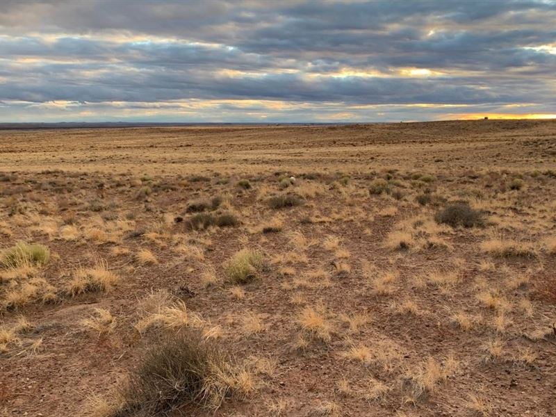 1.14 Acres, no Restrictions Land : Sanders : Apache County : Arizona