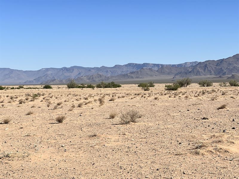 Live Off-Grid in Mohave County : Kingman : Mohave County : Arizona