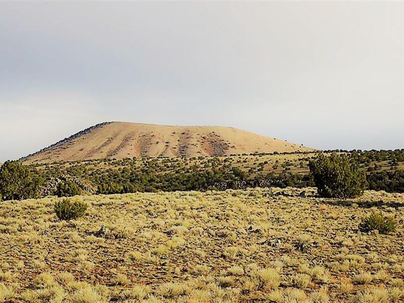 Beauty in Concho : Concho : Apache County : Arizona