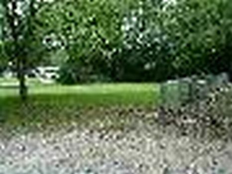 5 City Lots : Paris : Lamar County : Texas