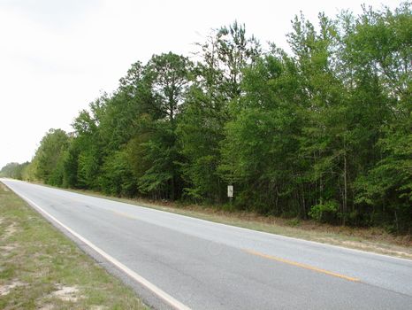 6.67 Acres : Statesboro : Bulloch County : Georgia