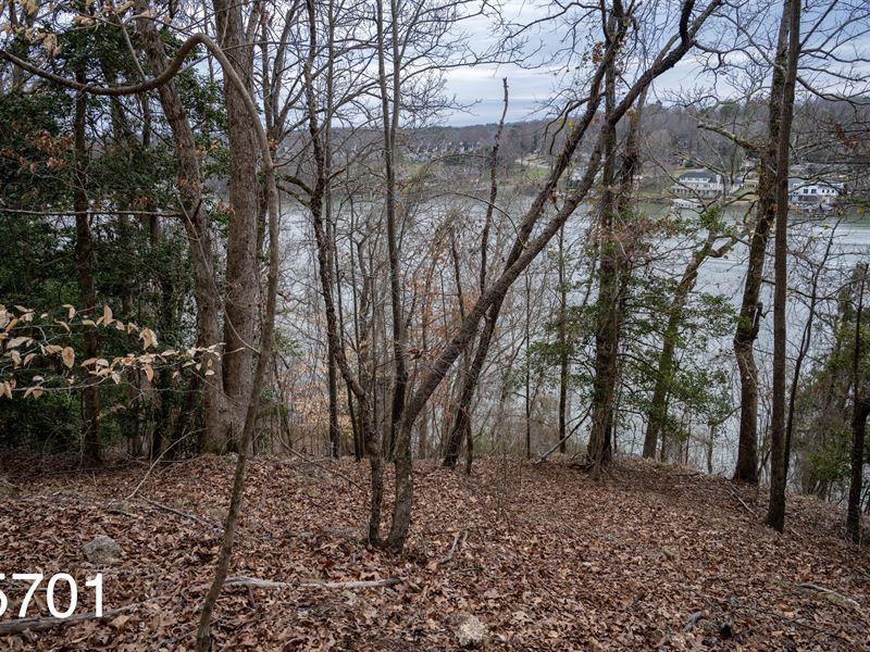 .65 Ac Lake Hickory Property : Hickory : Caldwell County : North Carolina