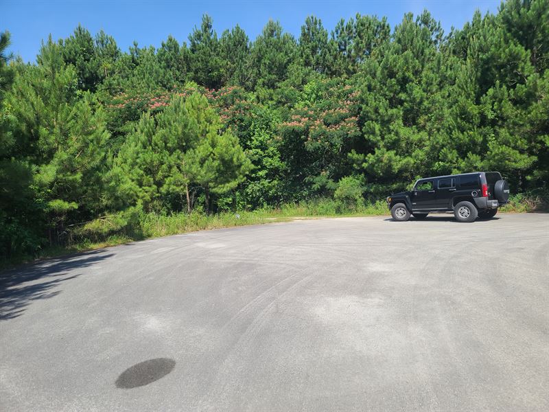 Country Living Near The Neuse River : Havelock : Craven County : North Carolina