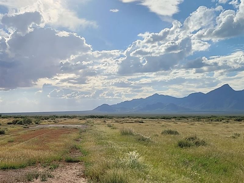 2.5 Ac Breathing Space Only $149/Mo : Deming : Luna County : New Mexico