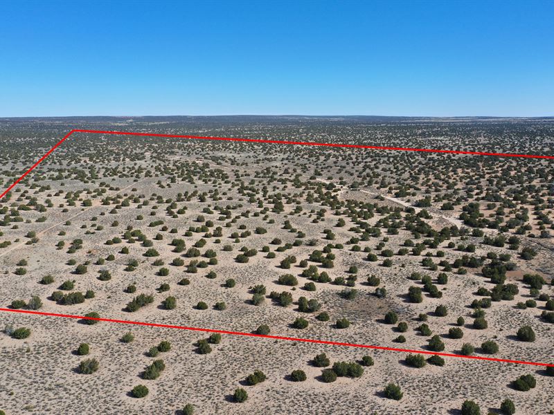 10 Ac Just Outside Saint Johns, AZ : Saint Johns : Apache County : Arizona