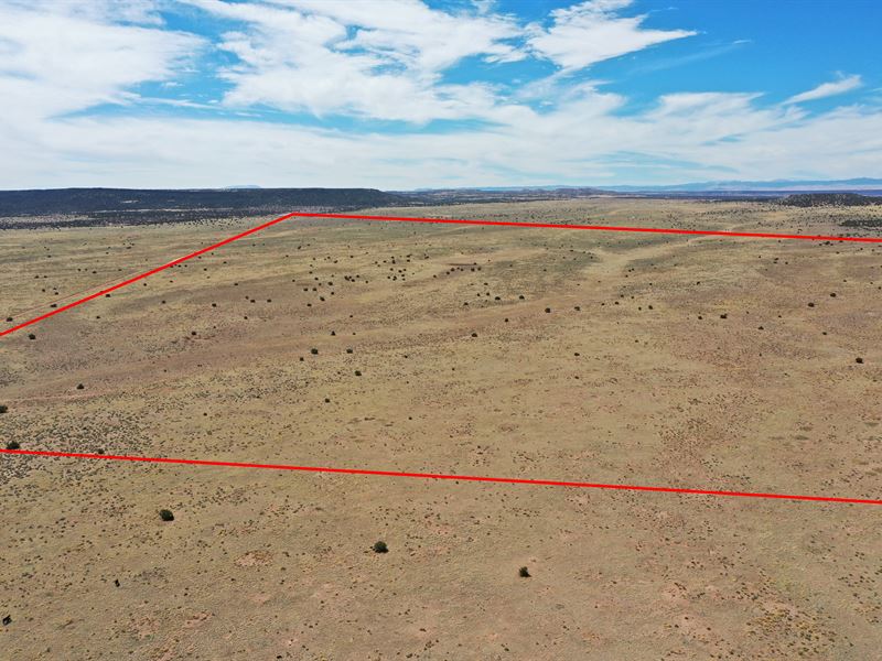 10 Ac Beautiful St Johns, AZ Land : Saint Johns : Apache County : Arizona