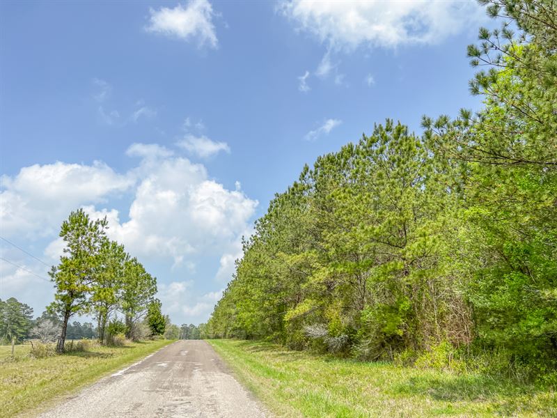 5 Acres, T-4 Caney Pines : Chester : Polk County : Texas