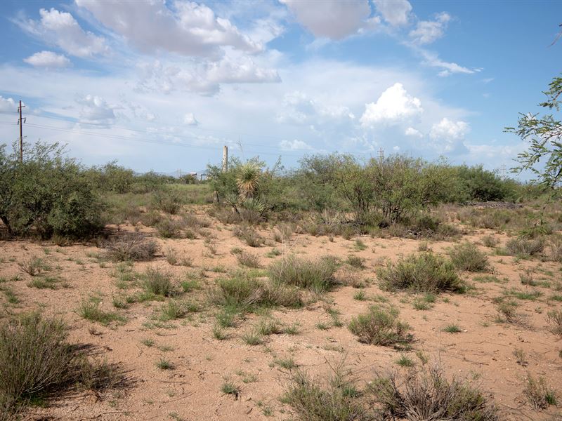 Retire to a Country Life in Arizona : Willcox : Cochise County : Arizona