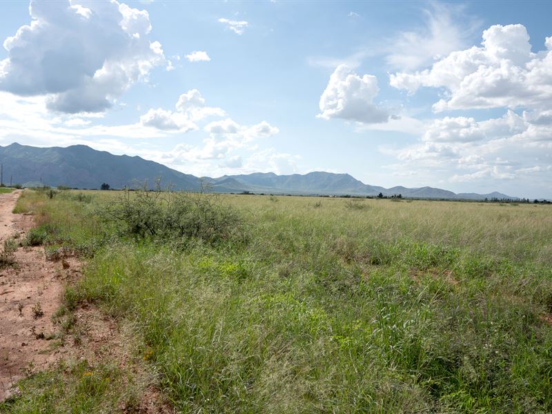 Live Off-Grid, Save The Environment : Cochise : Cochise County : Arizona
