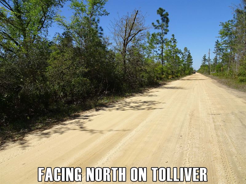 $9,900 Down, Near Beaches & Town : Fountain : Bay County : Florida