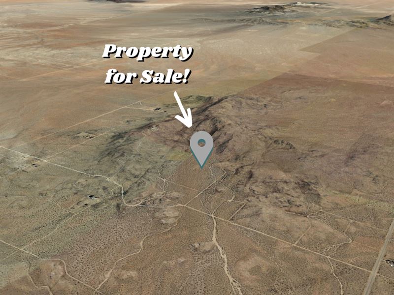 Homestead Ready : Lancaster : Los Angeles County : California