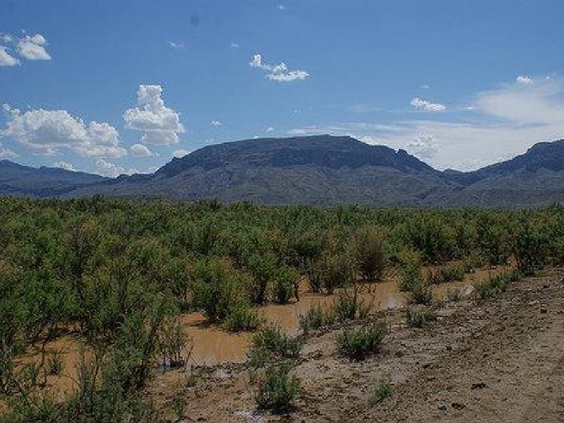 NE Ten Acre Painted Spring Presidio : Valentine : Presidio County : Texas