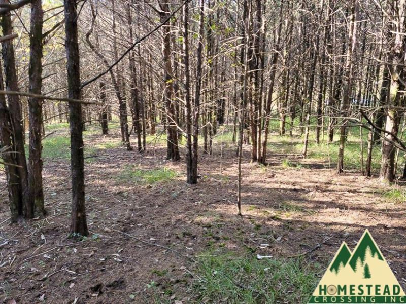 2 Minutes From Bull Shoals Lake : Diamond City : Boone County : Arkansas