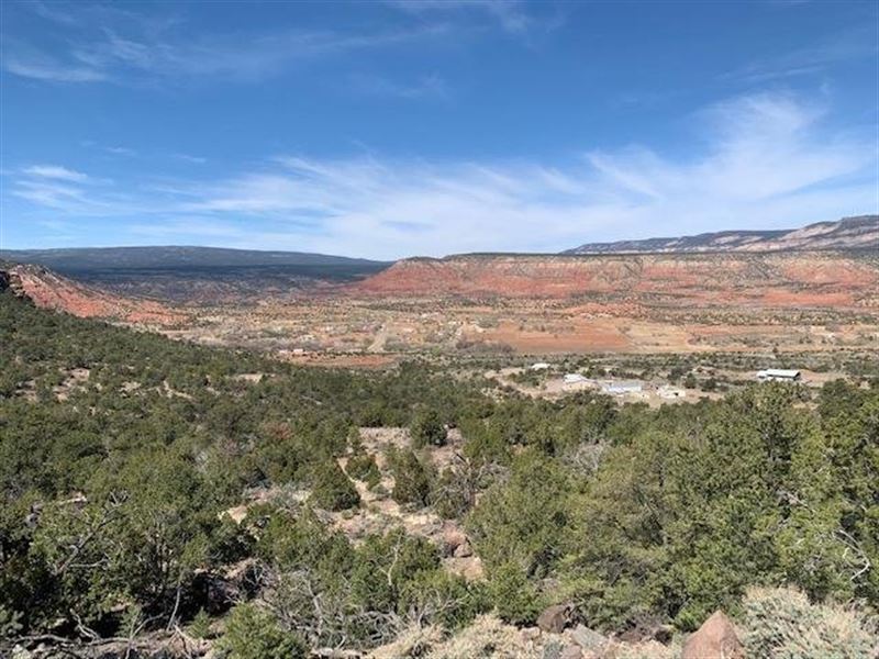 Coyote Residential : Coyote : Rio Arriba County : New Mexico