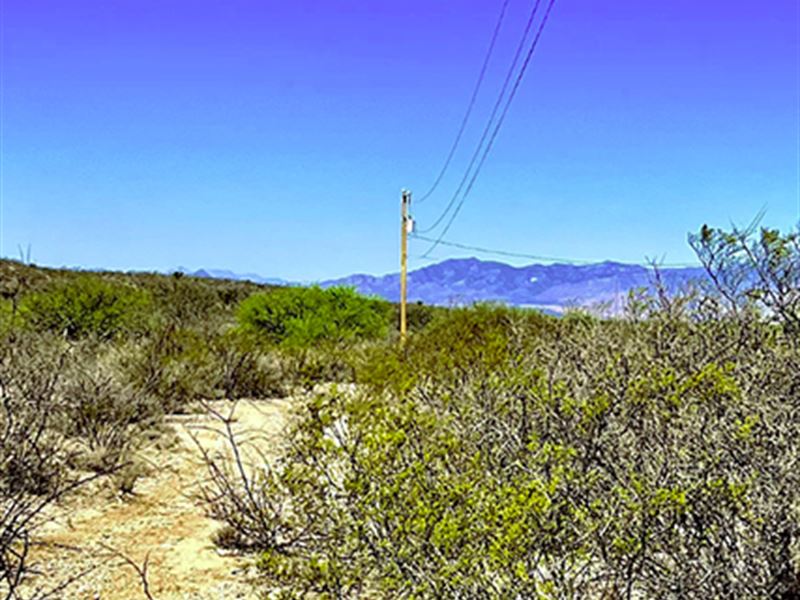 Super 4.6 Acres, Fantastic Price : Tombstone : Cochise County : Arizona