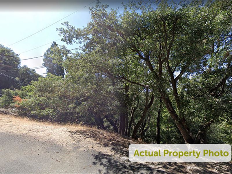 Residential, Tiny Homes, Paved Road : Crestline : San Bernardino County : California