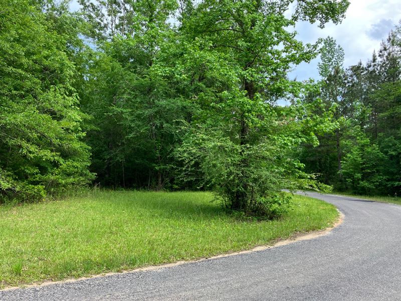 Home Seeker's Paradise : Brookhaven : Lincoln County : Mississippi