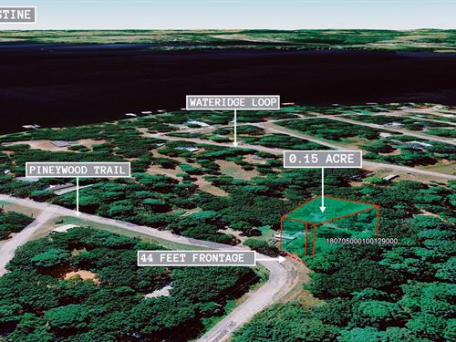 .15 Acre in Flint, $200 a Month : Flint : Smith County : Texas