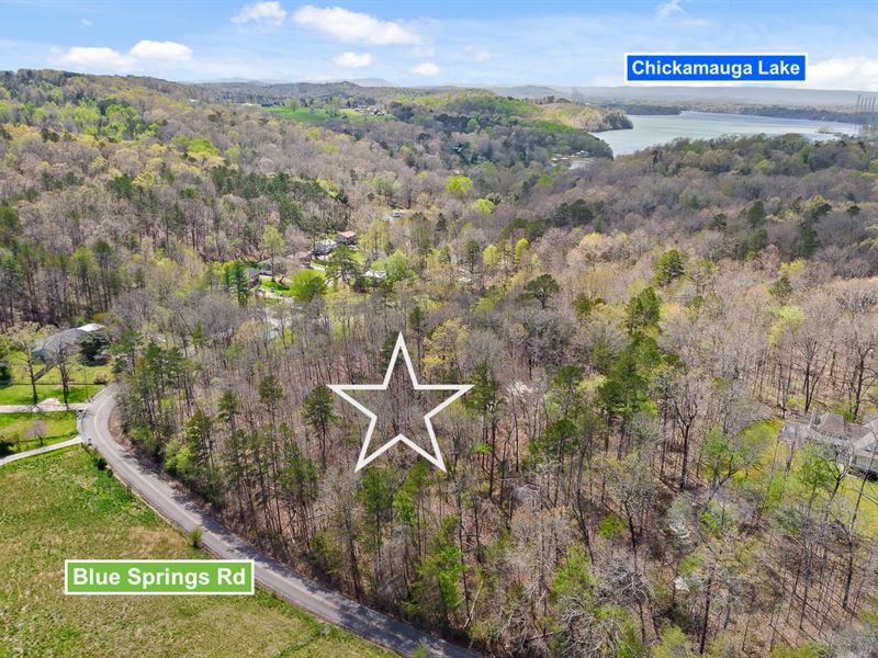 Buildable Acreage Near Lake : Harrison : Hamilton County : Tennessee