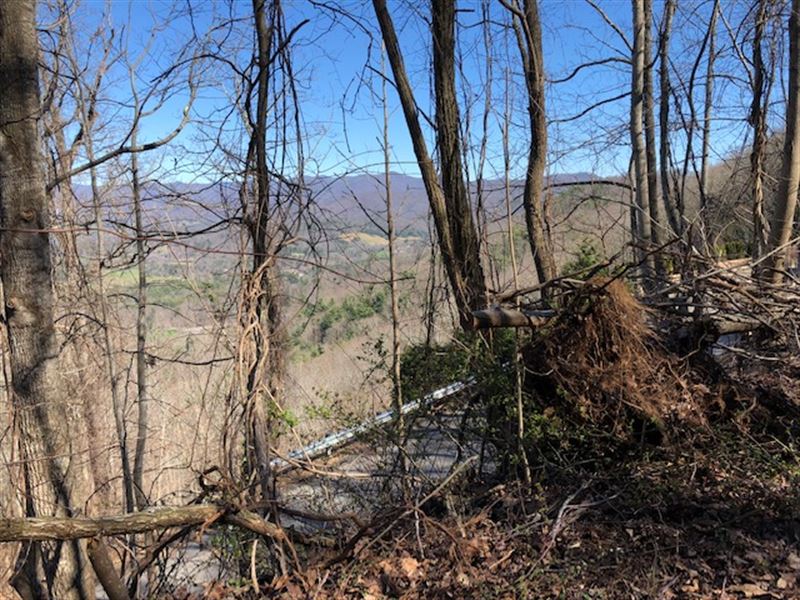 Spectacular Scenic Buildable Lot : Asheville : Buncombe County : North Carolina