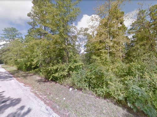 .29 Acre in Huntsville-$250/Month : Huntsville : San Jacinto County : Texas