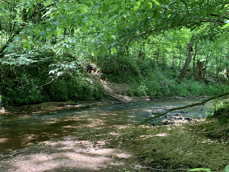 Barnett Shoals Tract 2 : Watkinsville : Oconee County : Georgia