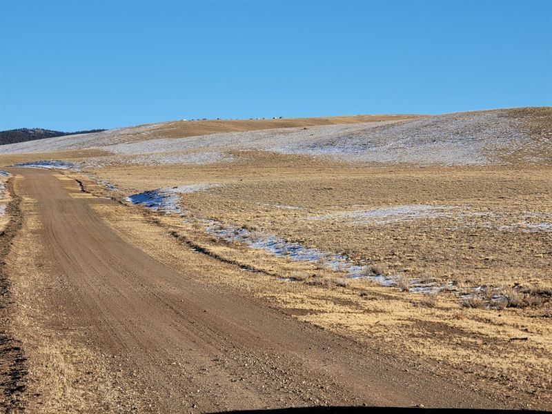 Go Off Grid & Camp : Hartsel : Park County : Colorado