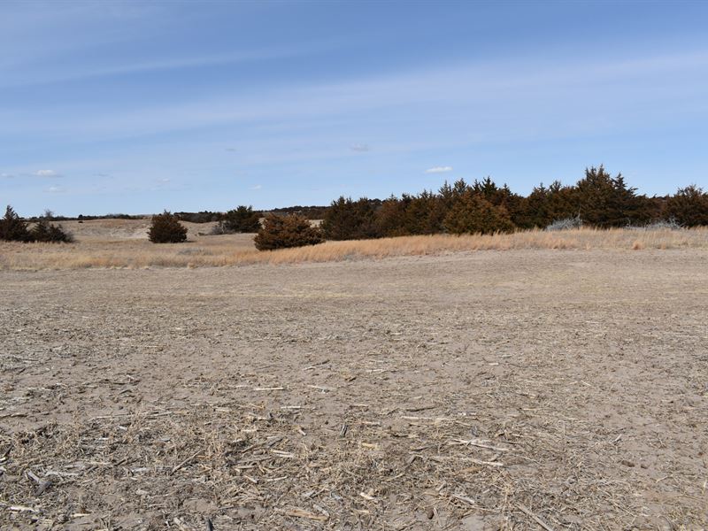 Long Pine Irrigated and Hunting : Long Pine : Brown County : Nebraska