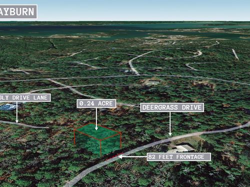 .23 Acre in Trinity, $200 a Month : Trinity : Texas