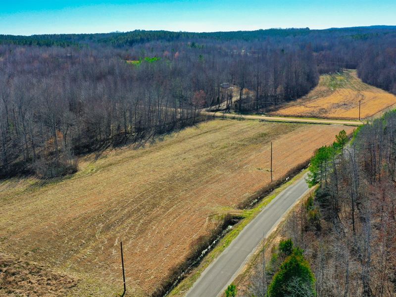 Residential / Mobile Home Lot : Enville : Chester County : Tennessee