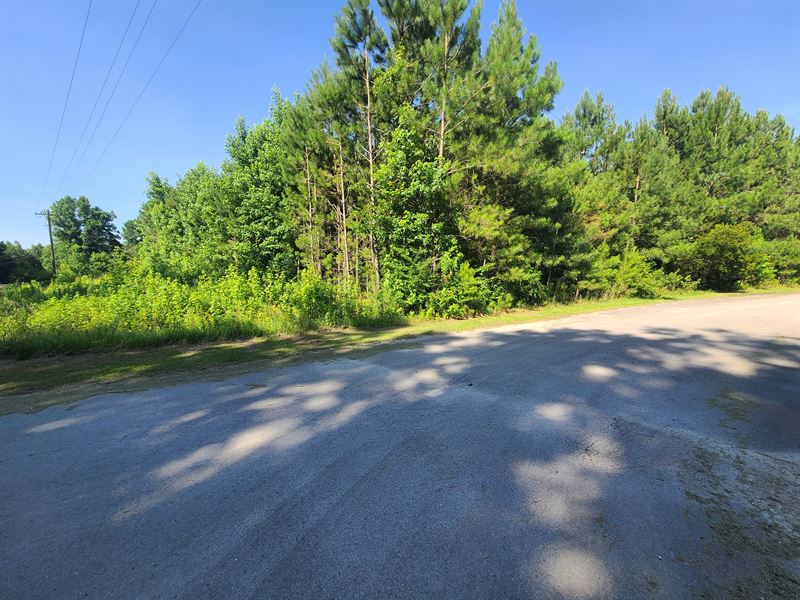 Country Living Near Cherry Point : Havelock : Craven County : North Carolina