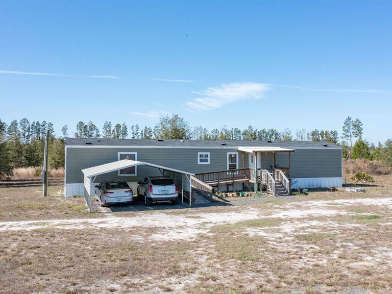Not Far From The River : Lee : Madison County : Florida