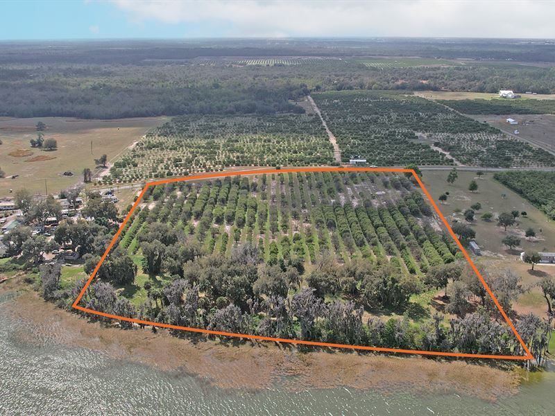 Lake Reedy Estates : Frostproof : Polk County : Florida