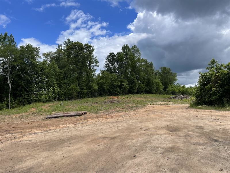 6 Acres Possible Pasture Land : Valley : Lee County : Alabama