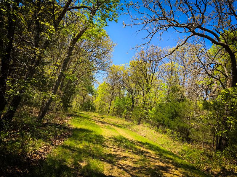 Off Grid Property with Power : Edwards : Benton County : Missouri