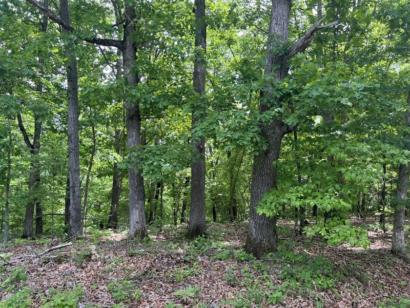11.60 Beautiful Acres Lake Ozarks : Lincoln : Benton County : Missouri