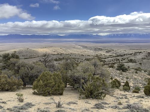 Desert 10 Ac on Murdock Mountain : Montello : Elko County : Nevada