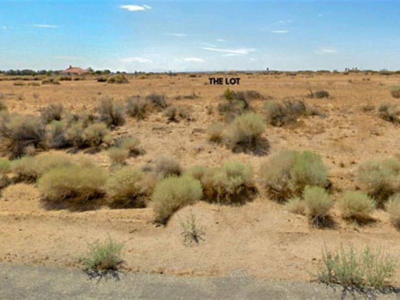 California Lot, Paved Road : California City : Kern County : California