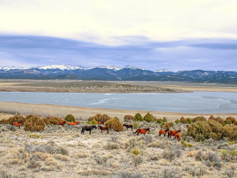 2.03 Acres, Mountain and Lake : San Luis : Costilla County : Colorado