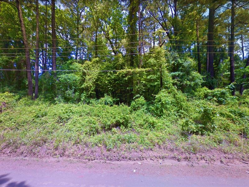 .28 Acre in Hemphill, $200/Mo : Hemphill : Sabine County : Texas
