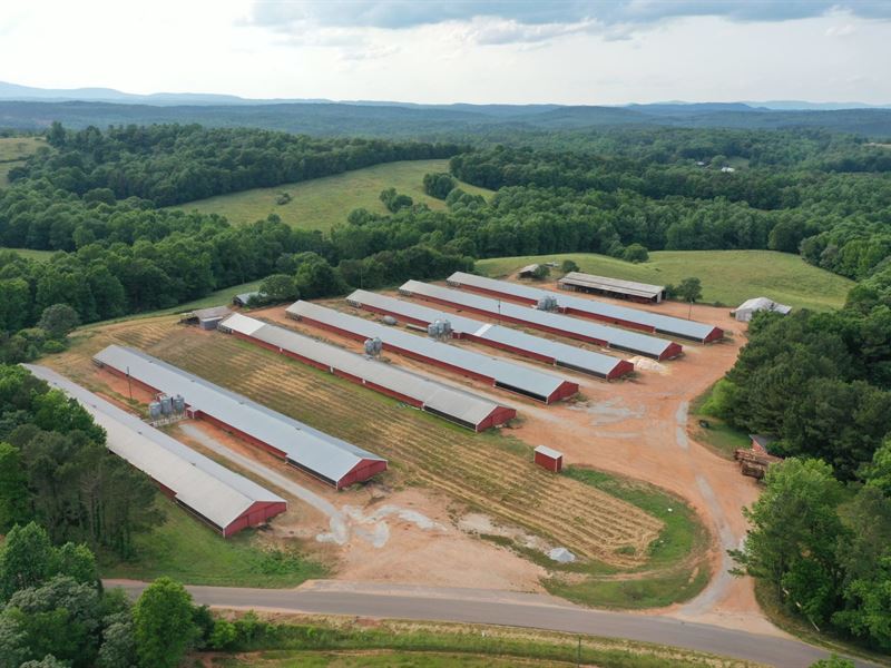 New Price,-Lee's Bridge Road Farm : Delta : Randolph County : Alabama