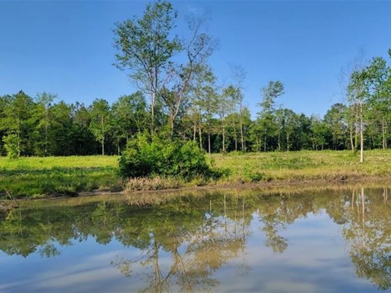 7.75 Acres in Pearl River County : Poplarville : Pearl River County : Mississippi