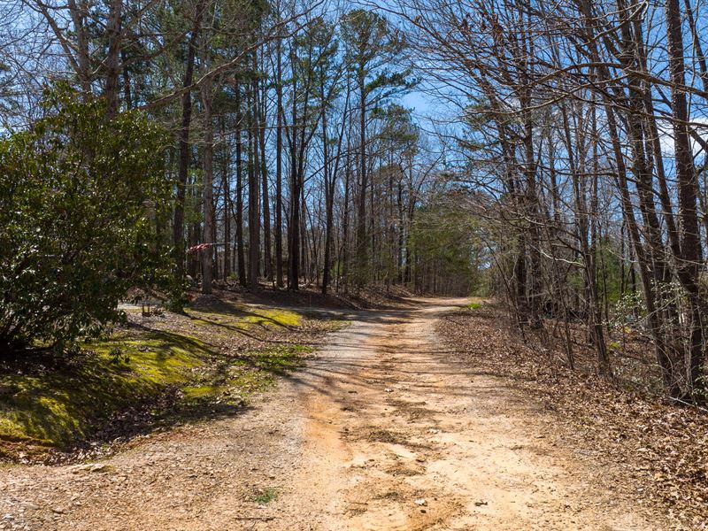 Nature's Neighborhood : Dawsonville : Lumpkin County : Georgia