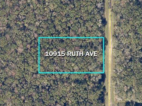 1+ Acre in St Johns County : Hastings : Saint Johns County : Florida